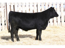 Lot 107A