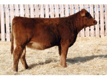 Lot 119A