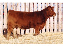 Lot 125A