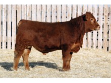 Lot 137A