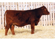 Lot 163A