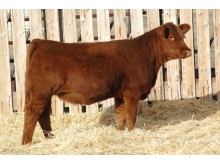Lot 172A