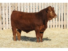 Lot 178A