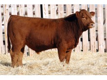Lot 188