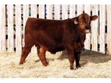 Lot 59A