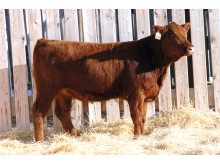 Lot 66A
