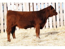 Lot 96A