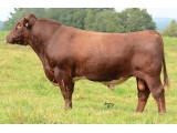 Lot 1