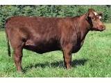 Lot 10