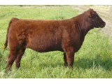 Lot 18