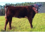 Lot 22