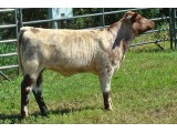 Lot 34