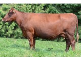 Lot 40