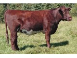 Lot 5