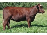 Lot 6 